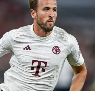 手们的优秀 手们的优秀